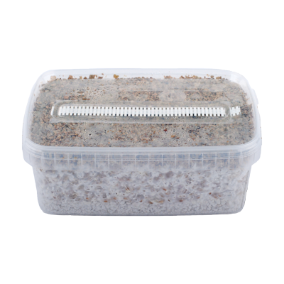 Magic Mushroom Grow kits