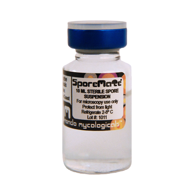Buy Albino A+ psilocybe cubensis spore vial