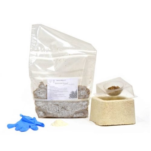 Buy grow kits without mycelium Australia