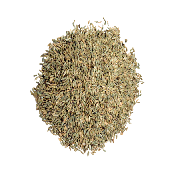 organic Australian rye grain 50 lbs
