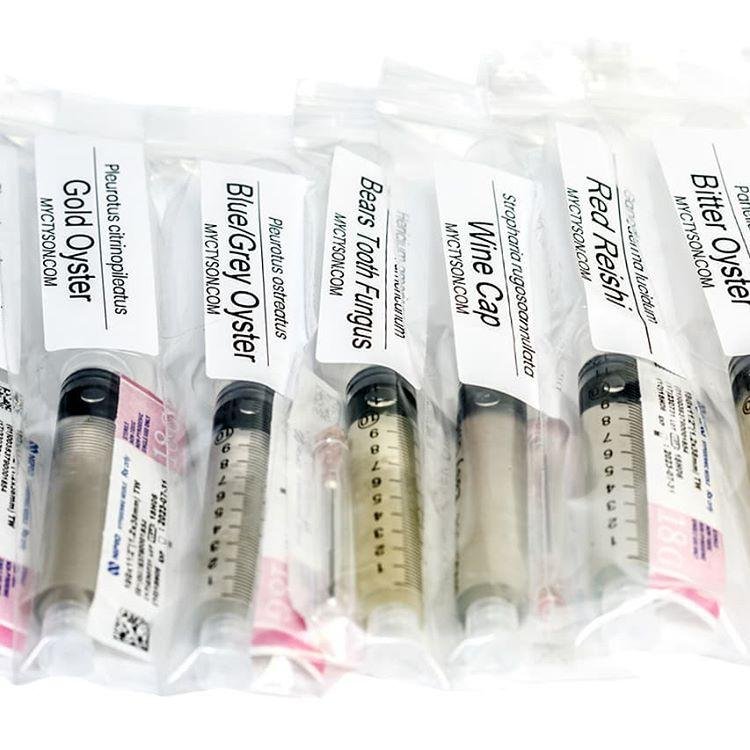 magic mushroom spore syringe Australia