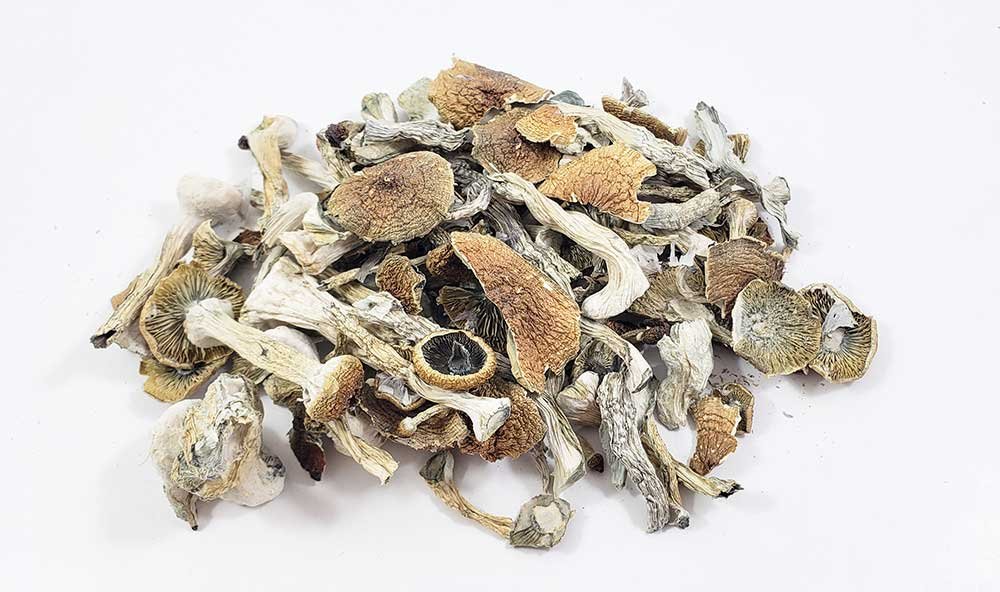 Buy Albino Magic Mushroom Online
