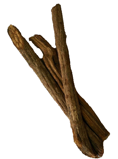 Banisteriopsis Caapi | Trueno – Herbs of the Gods- Ayahuasca