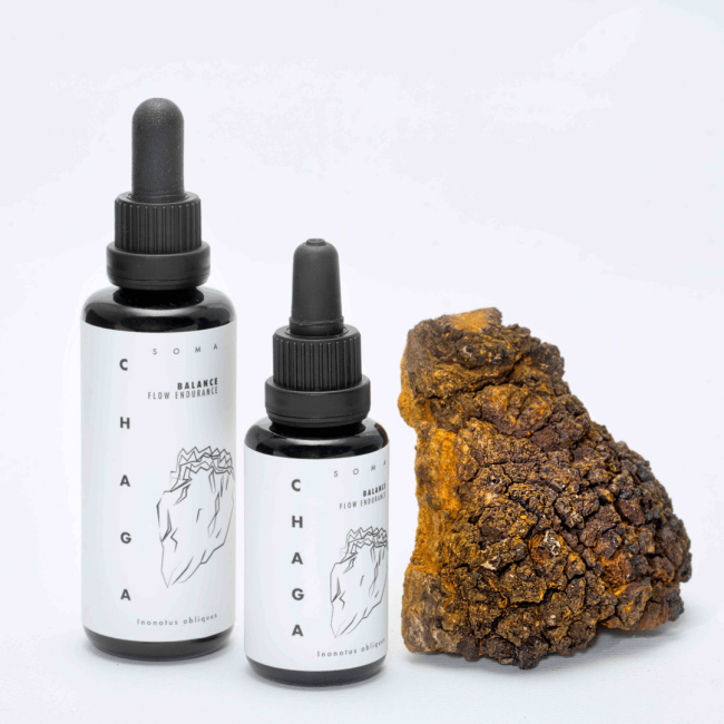 Buy Chaga mushroom tincture Australia