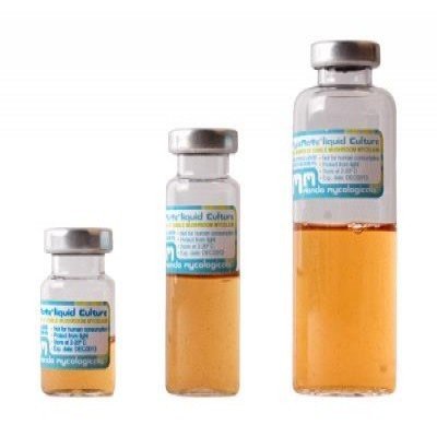 mushroom liquid culture Australia